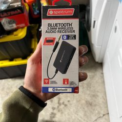 Spektrum Bluetooth Wireless Audio Receiver