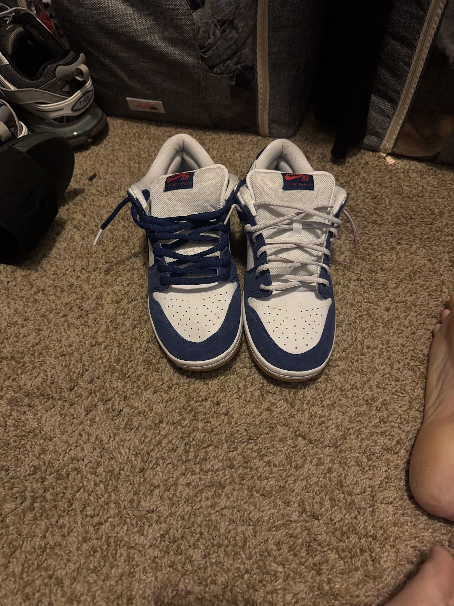 Nike Sb Dunk low Los Angeles Dodgers Size 11