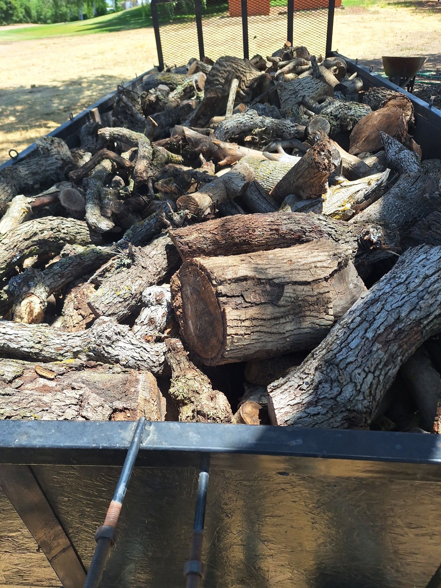 firewood for campfire , walnut and oak