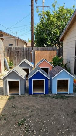 House for Dogs