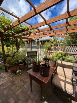 Fan Trellis 8 foot tall
