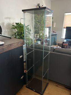 FREE Glass Display Case