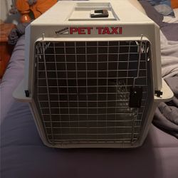 Medium Size Pet Taxi 