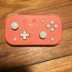 Nintendo Switch Controller 