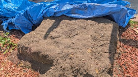 Free great soil