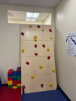 Indoor Rock Climbing Wall for Kids