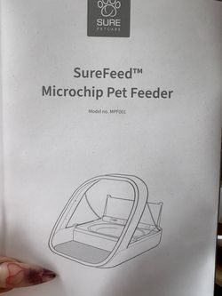 Cat feeder