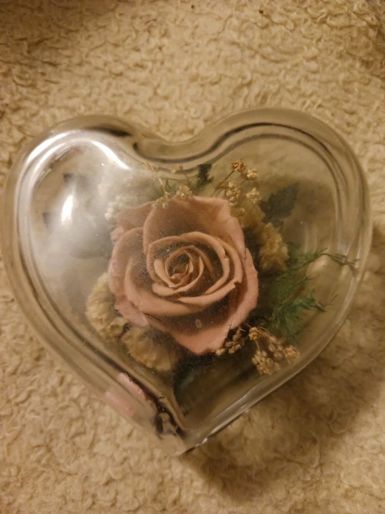 Natural Expression A Real Freeze Dried Rose Pink