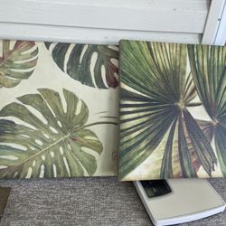 Palm Branches Pictures Set
