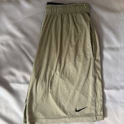 Mens Nike Dri Fit Shorts 