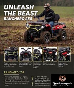 2026 Tiger Terrex 250 ATV QUAD FOUR WHEELER