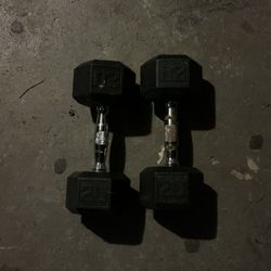20 Lbs Rubber Dumbells