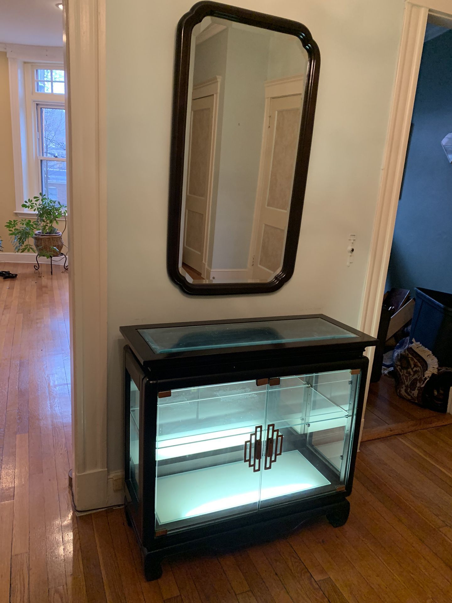 Mirror and Cabinet with Illumination