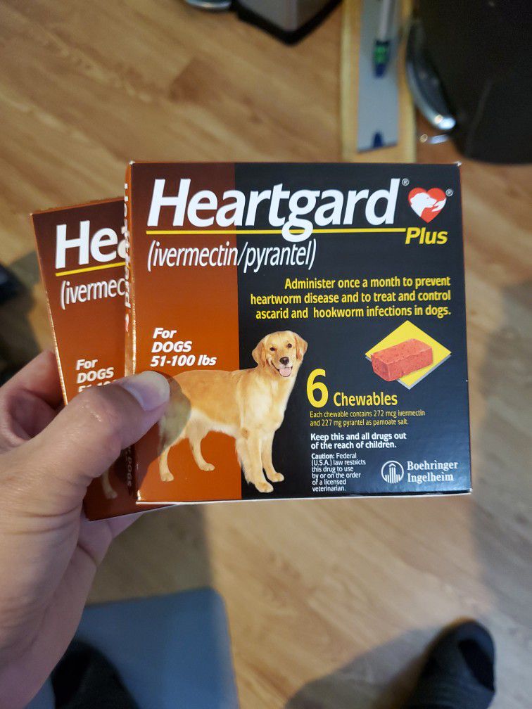 Heartgard Plus For Dogs 51-100lbs