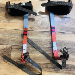 Bashlin Tree Pole Climbing Spurs Spikes 