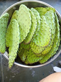Nopales ya limpios organicos