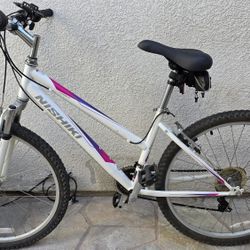 Ladies Mountain Bike