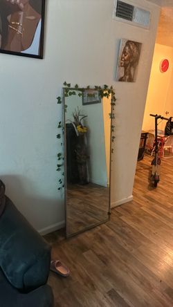 Full Length Floor Mirror Thin Frame