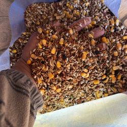 Quality Rooster Feed