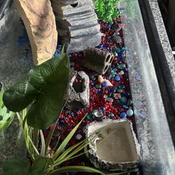 Ready To Go Packed With Every Single Thing Your Aquatic Turtles Or any Animal Plus Fish Need In 
