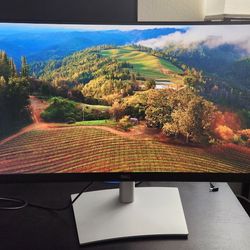 Dell UltraWide Curved Screen 34" USB-C Monitor