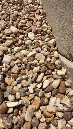 White River Rock - Yard