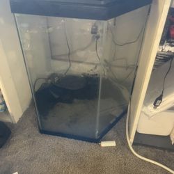 40g Fish Tank 