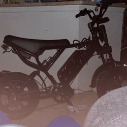 ⚠️TRADE FOR TUTIO OR OTHER E-BIKE⚠️Ridstar Q20 16inch 