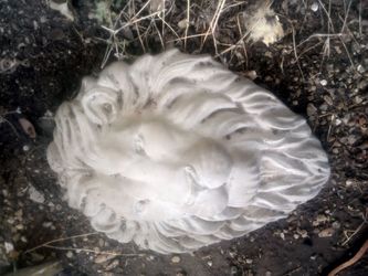 Lion, eagle,paws,and turtle molds