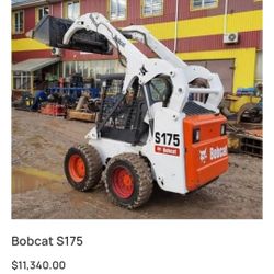Bobcat  S 175