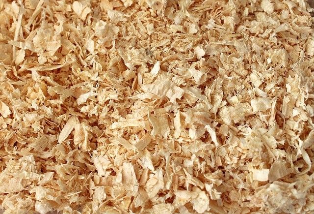Wood Chips Shavings