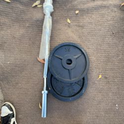 Olympic Curlbar And Weights