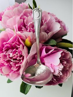 Vintage Oneida Community Silverplate Cream Sauce Ladle – Louis XVI Pattern (1911) – 5.5”