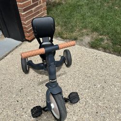 Toddler Bike 