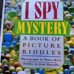 I Spy Mystery Book 
