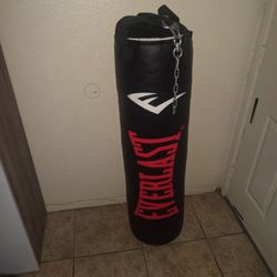 Everlast Punching Bag... Punching Bag Stand