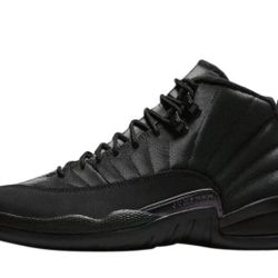 Jordan Retro 12 Size Mens 13  NEW