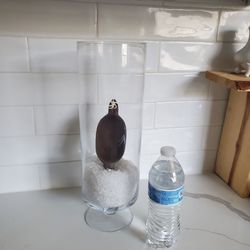 Large Glass vase