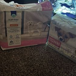 Dog Diapers 