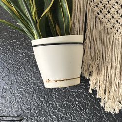 Wall mounted plant hooks