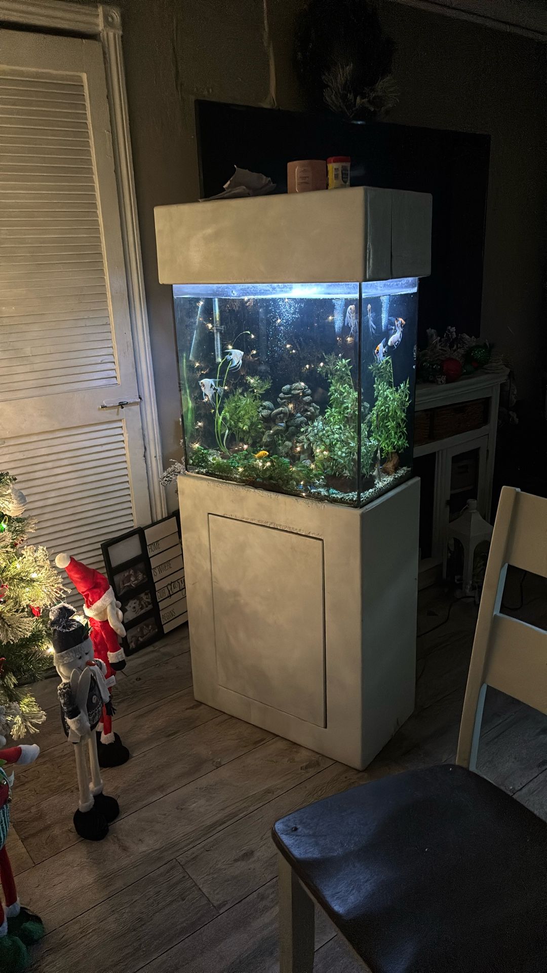 30 Gallon Fish tank