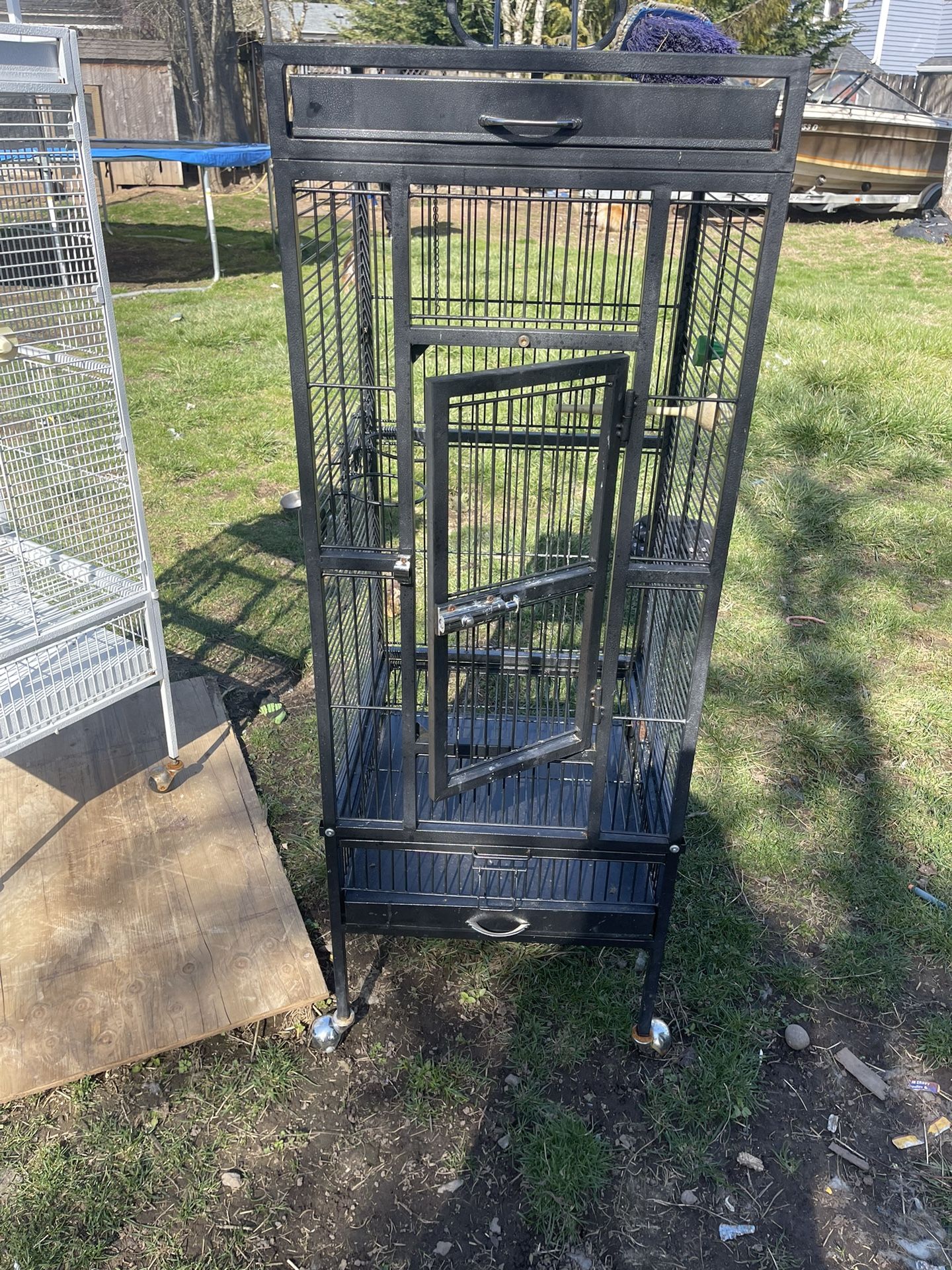 Bird Cage