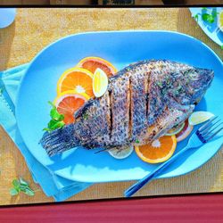 SAMSUNG 98"INCH OLED 4K S90D 