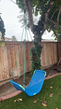 Tree swing or hang anywhere