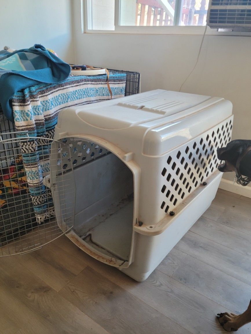 Dog Kennel