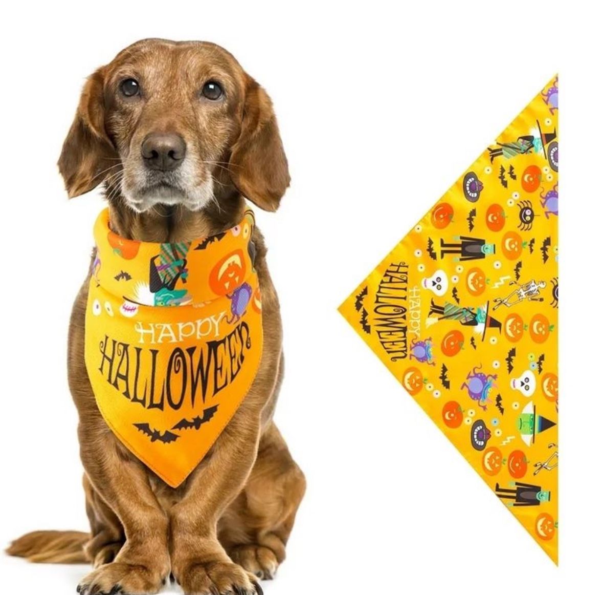 Holiday Dog Grooming