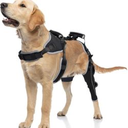 LISPOO Dog Knee Brace for Torn Acl Hind Leg,Dog Leg Braces for Back Leg XL