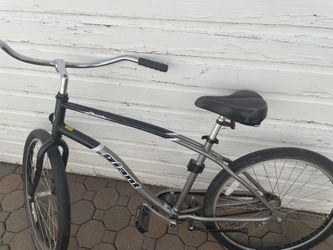 Giant Brand Bicycle, Moving Sale, Sells for $500 online