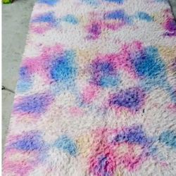 Multiple Color Area Rug