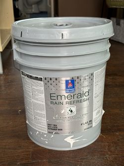 Professional Exterior House Paint
